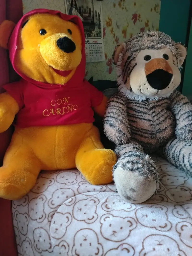Peluches de Winnie the Pooh y tigre - 2