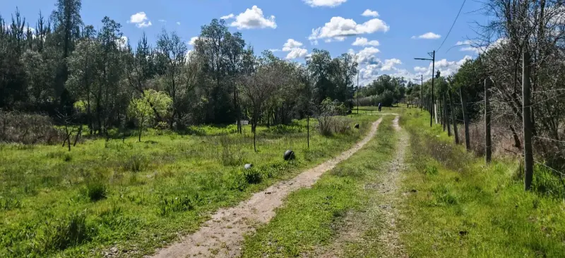 Se vende parcela - 2