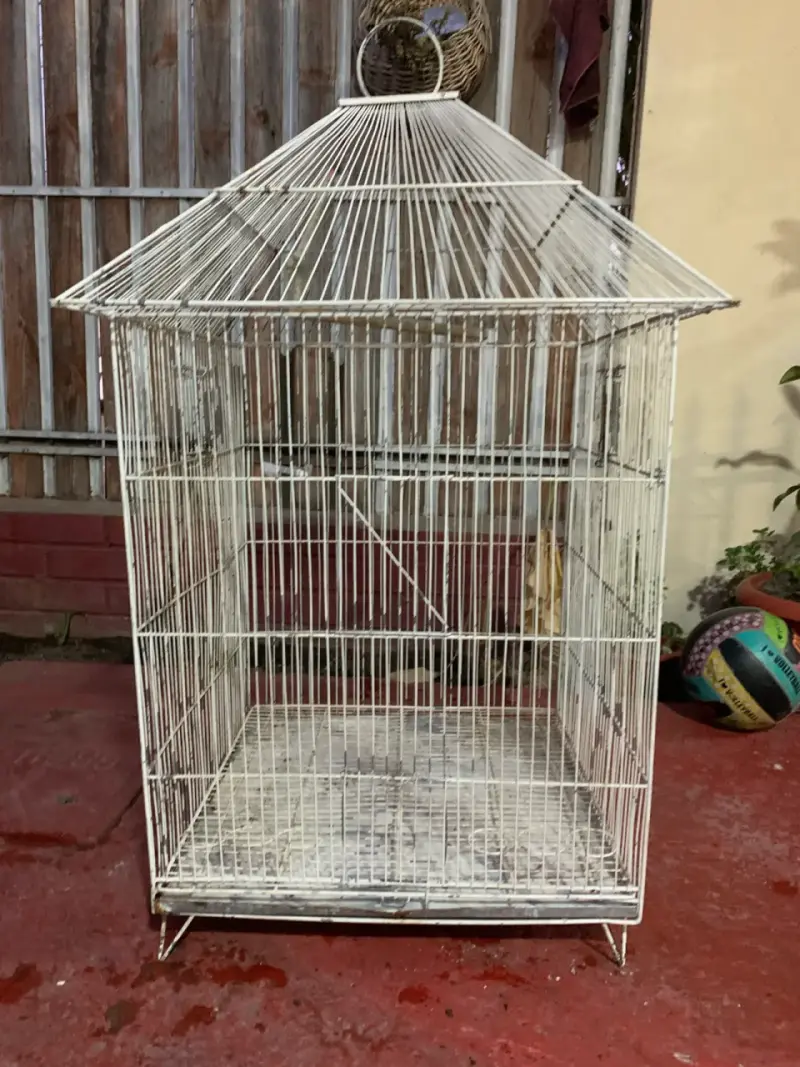 Jaula grande para aves metálica - 2