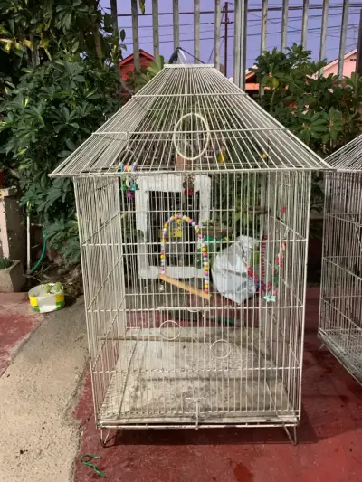 Jaula grande para aves con accesorios - miniatura 1