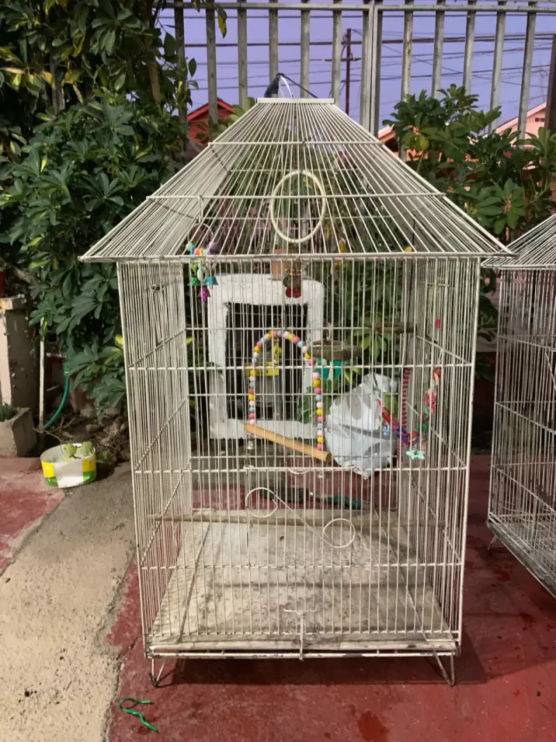Jaula grande para aves con accesorios - 2