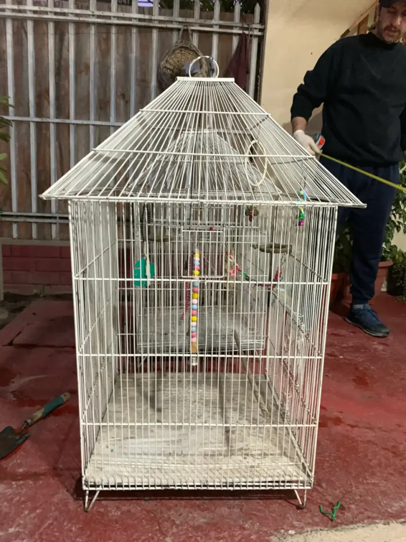 Jaula grande para aves con accesorios - 3