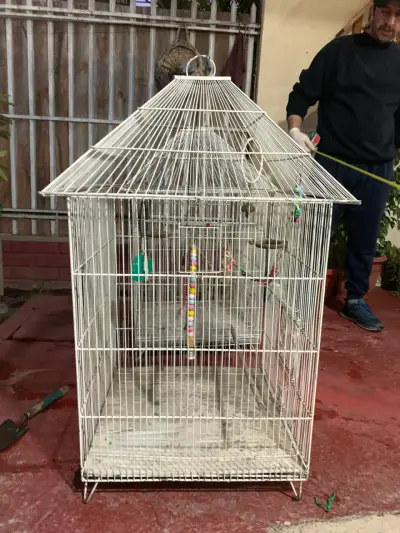 Jaula grande para aves con accesorios - miniatura 3