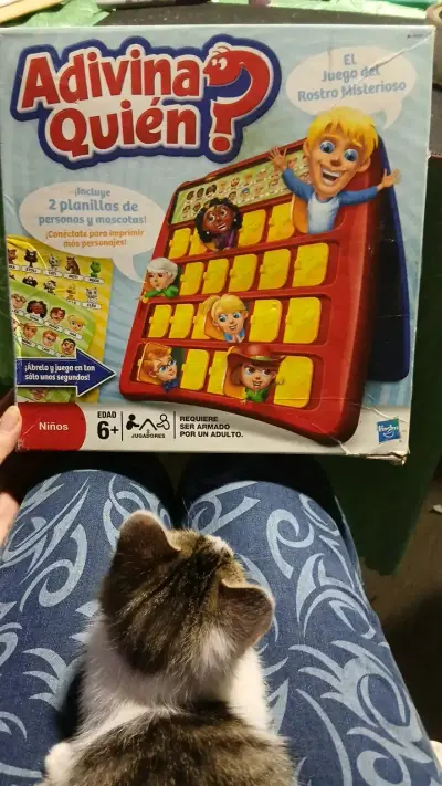 Juego de mesa Adivina Quién para niños - miniatura 1