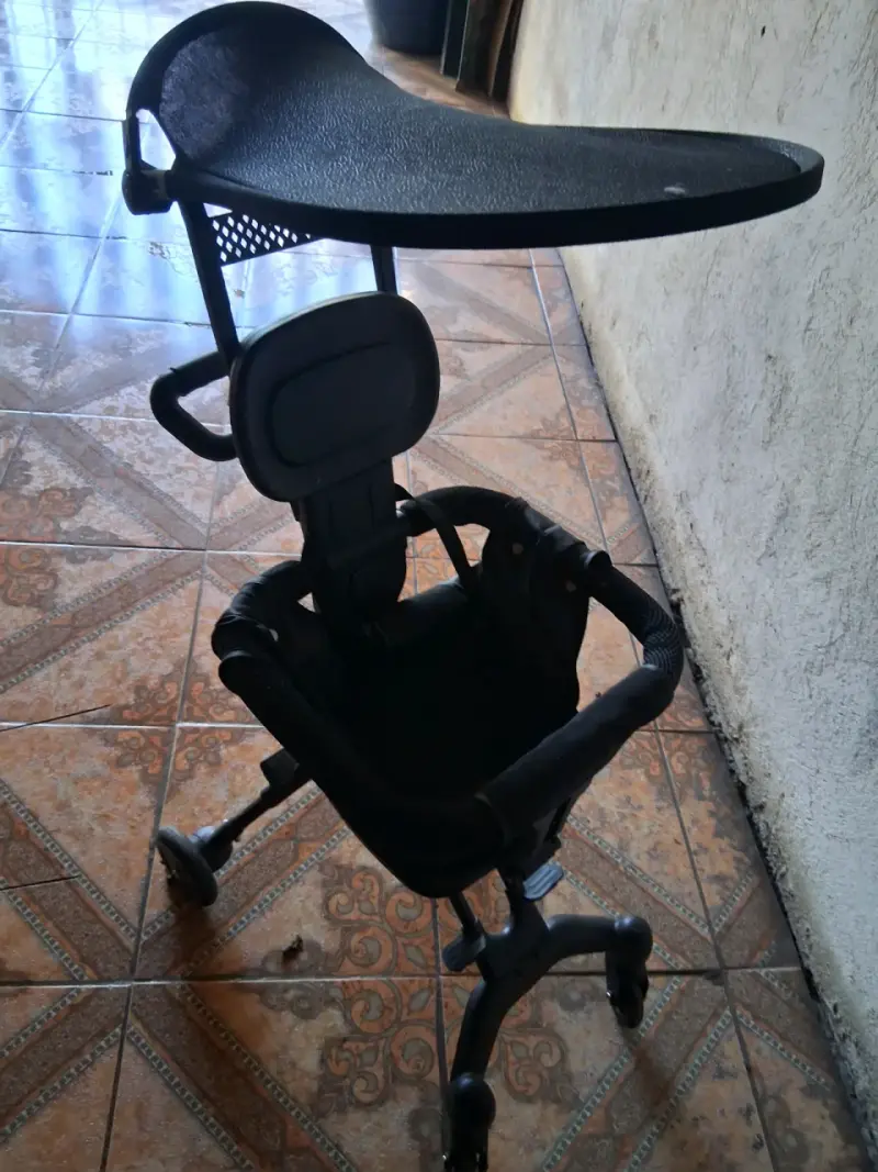 Silla de paseo - 2