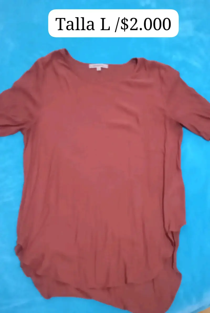 Polera manga larga color terracota talla L