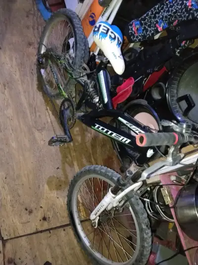 Bicicleta Totem infantil con suspensión - miniatura 1