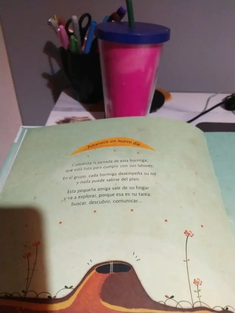 Libro 'El Músico y la Bailarina' de Ximena Bruno - 2