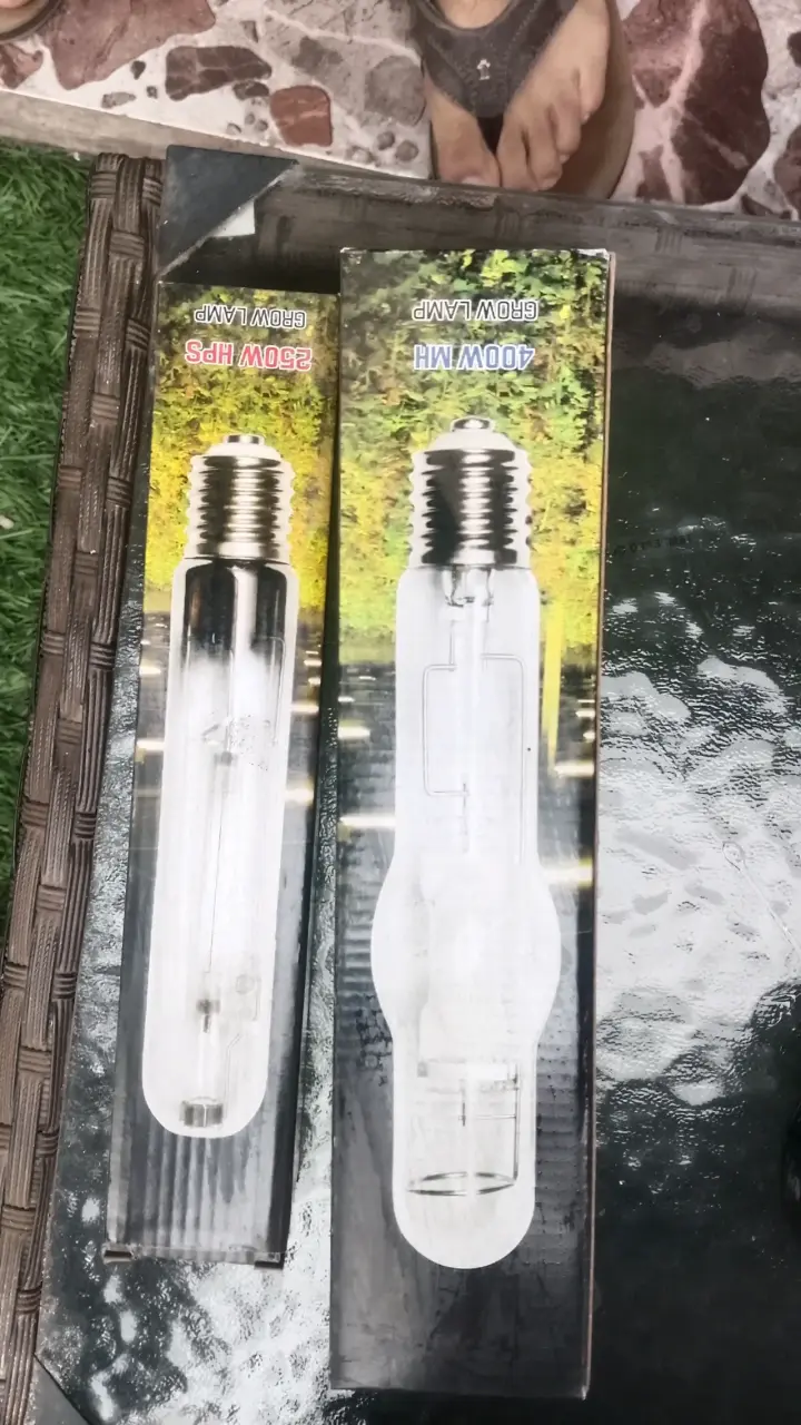 Carpa de cultivo interior con estructura metálica - 5