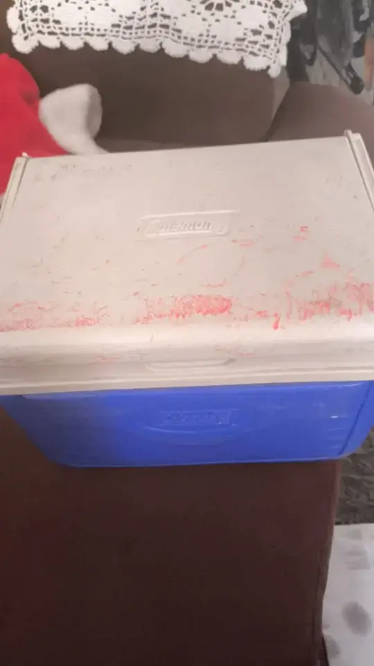 Cooler Coleman Original - Nevera Portátil 5 Litros - 3