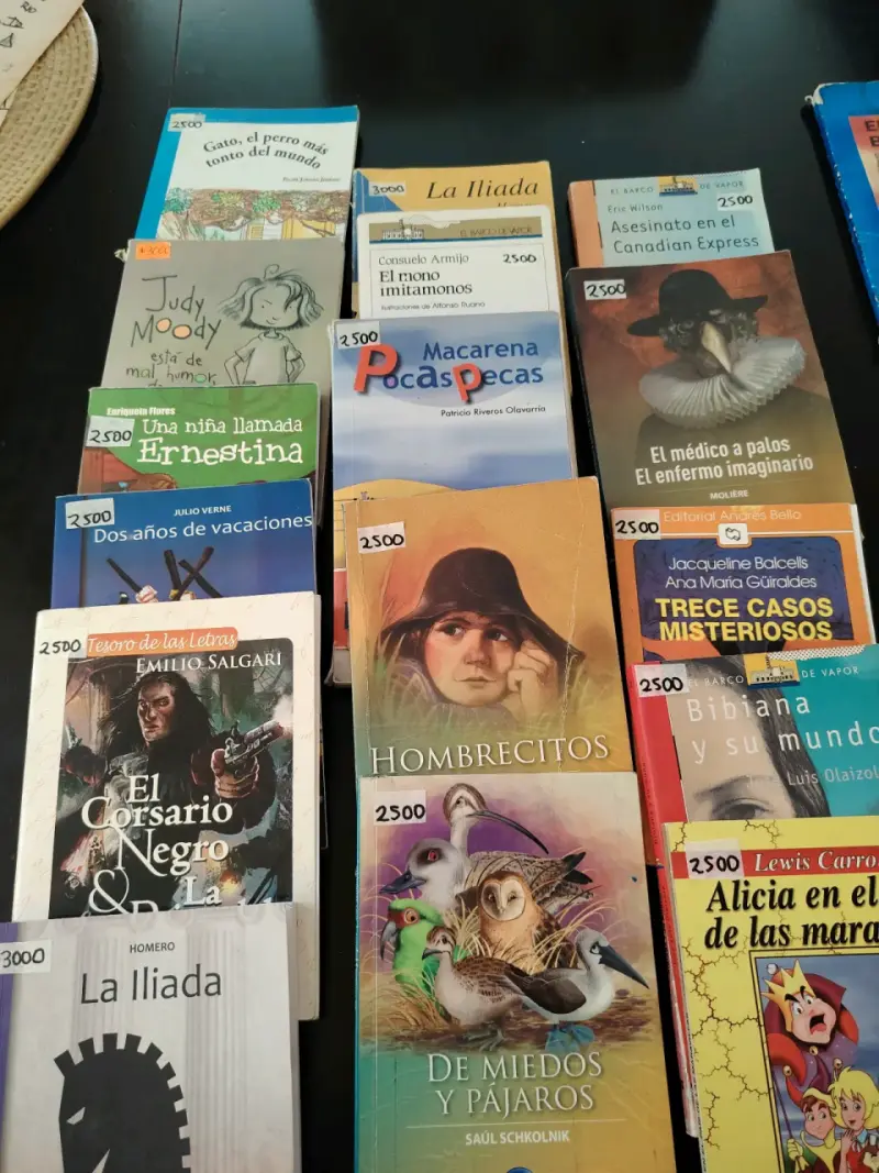 Lote de libros infantiles Alfaguara - 3
