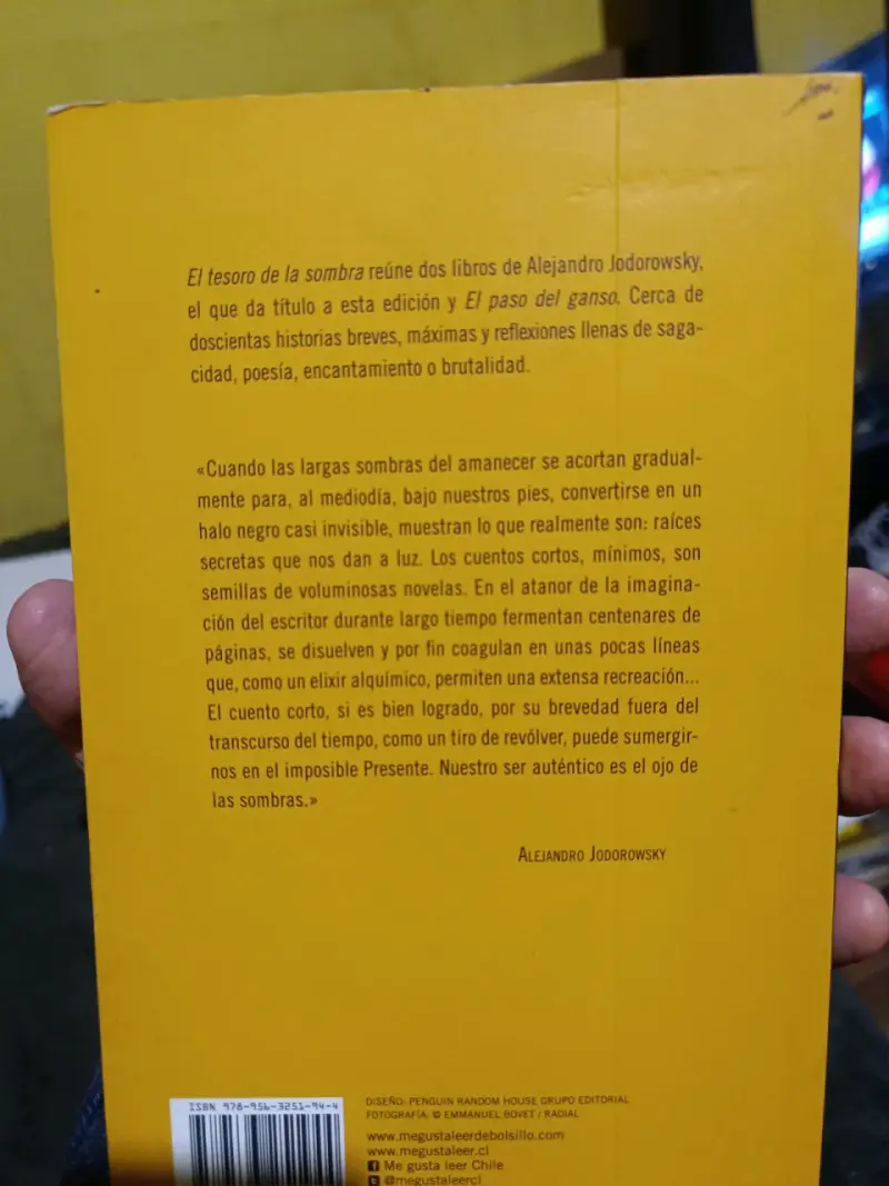 Libro 'El tesoro de la sombra' de Jodorowsky - 2