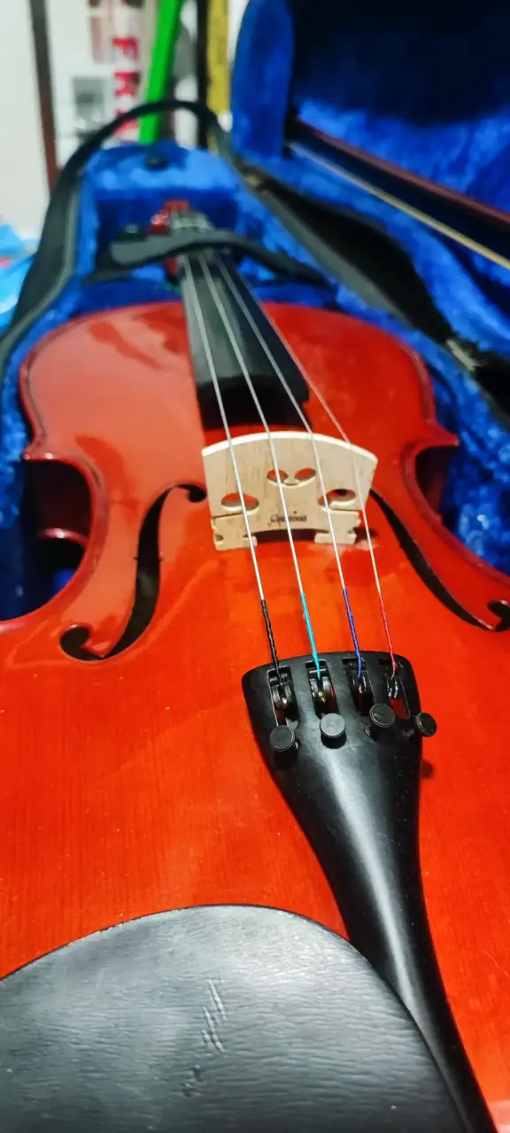 Viola clásica con estuche azul - 1