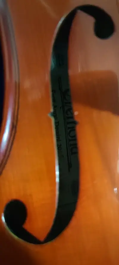 Viola clásica con estuche azul - miniatura 3