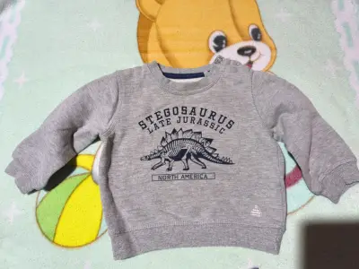 Polerón gris infantil con diseño de dinosaurio - miniatura 1
