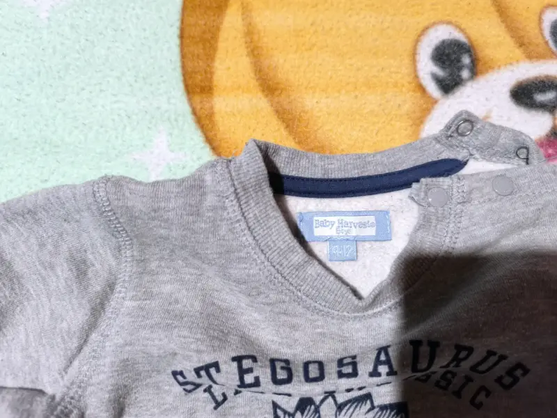 Polerón gris infantil con diseño de dinosaurio - 2