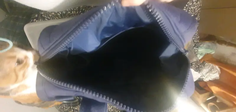 Mochila azul Dagne Dover con bolsillos - 3