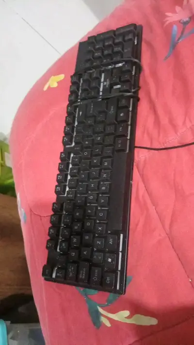 Teclado alámbrico USB negro en buen estado - miniatura 1
