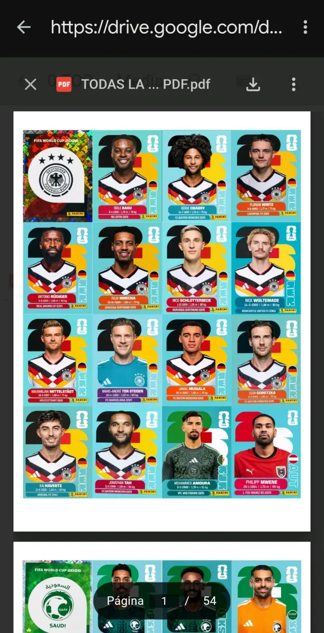 Documento digital de láminas Panini Mundial - 2