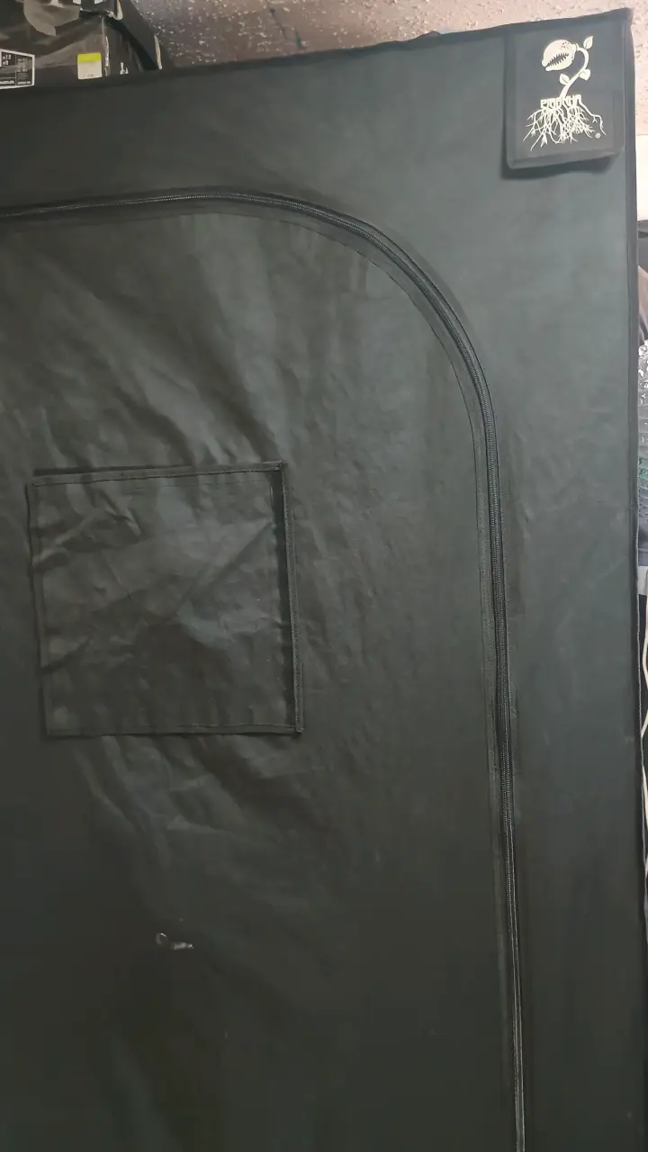 Carpa indoR - 3