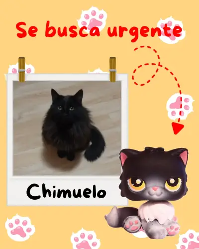 Compro lps - miniatura 2