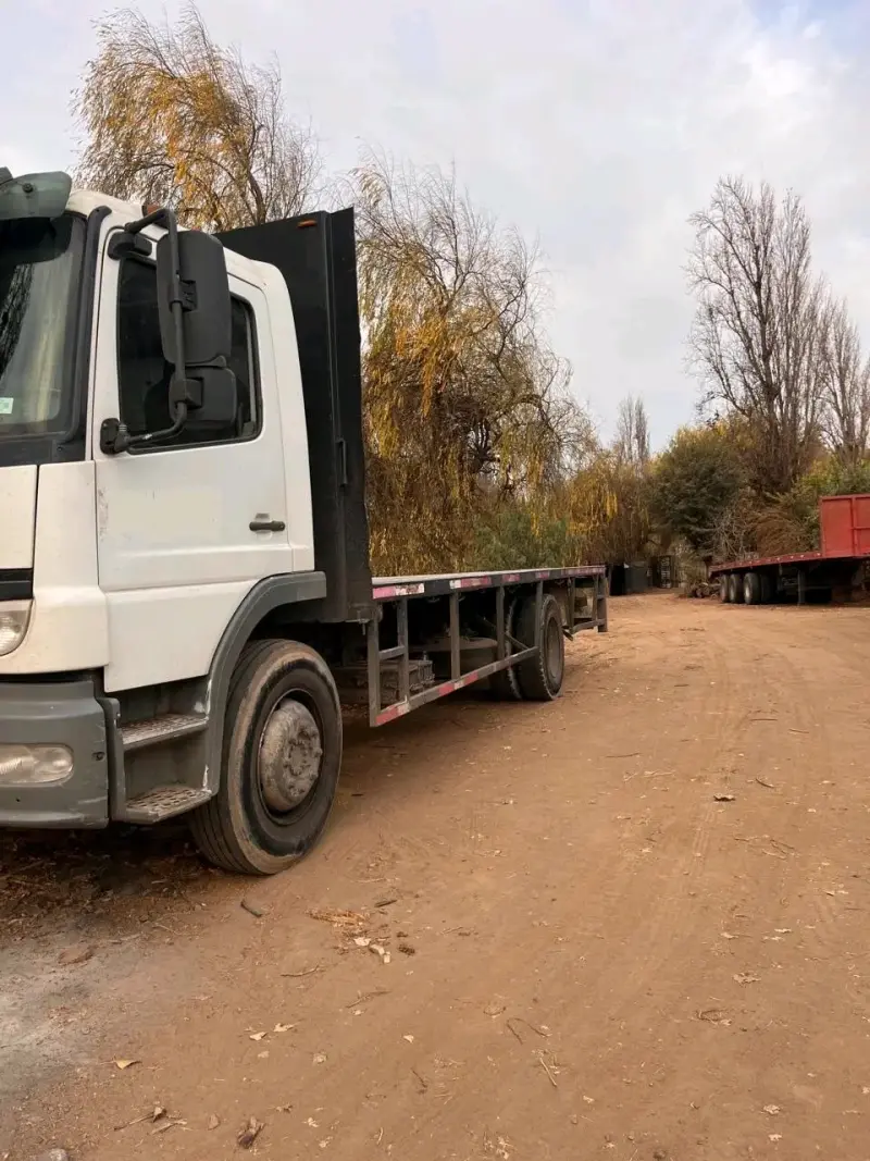 Camión Mercedes-Benz Actros en buen estado - 2