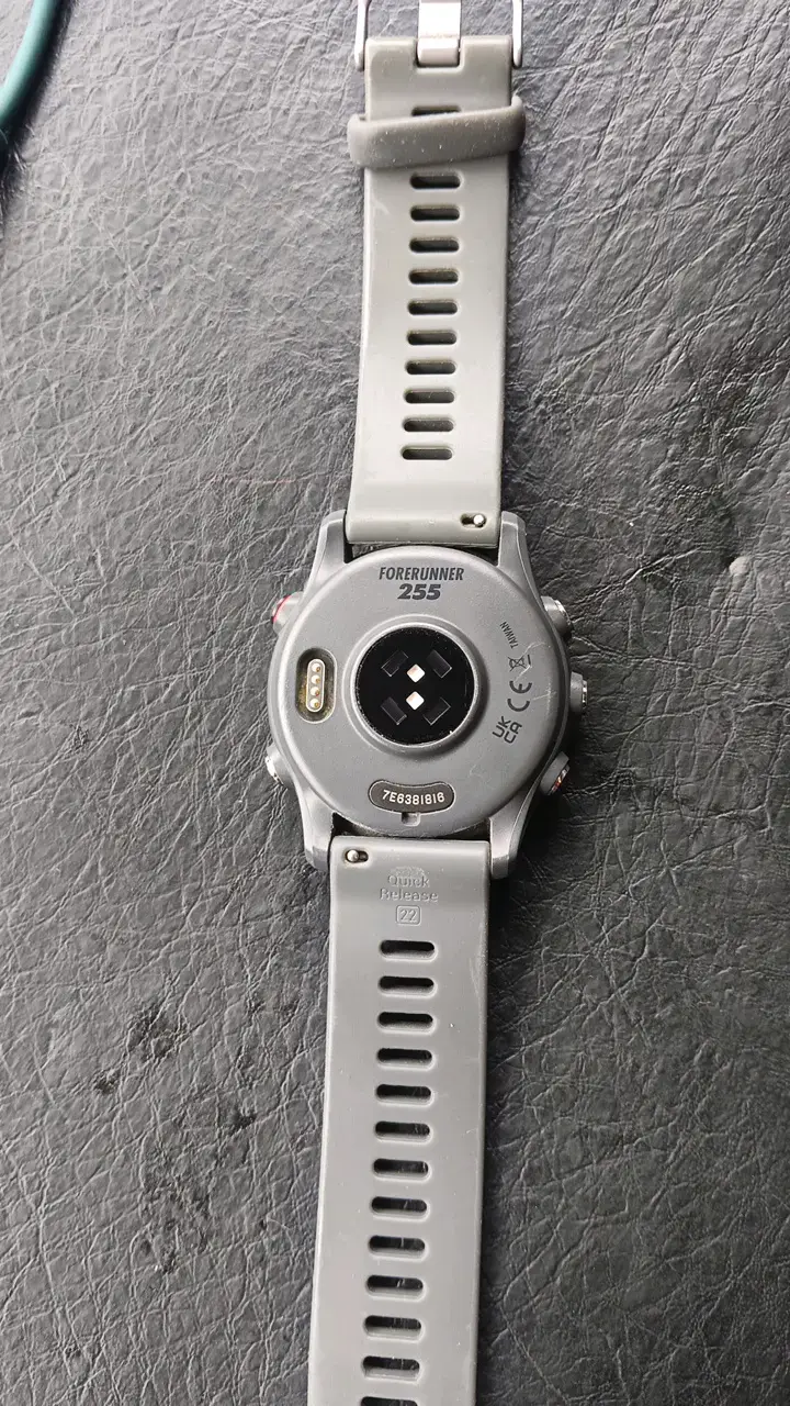 Reloj inteligente Garmin Forerunner 255 - 2