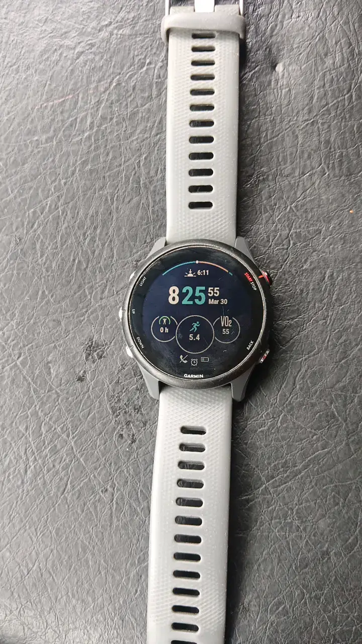 Reloj inteligente Garmin Forerunner 255 - 3