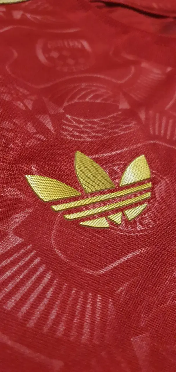 Camiseta Adidas Bayern Munich edición especial - 3