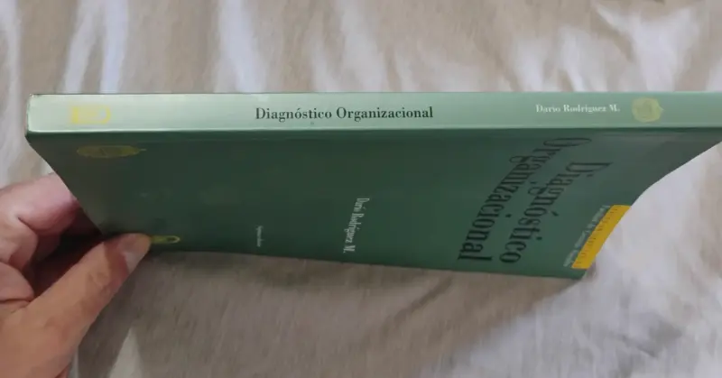 Libro Diagnóstico Organizacional, Darío Rodríguez - 2