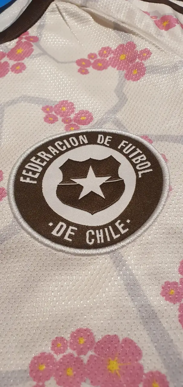 Camiseta seleccion chilena - 2