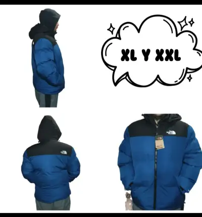 Chaqueta The North Face azul con capucha - miniatura 1
