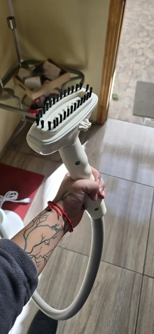 Plancha a vapor portátil con cepillo - 1
