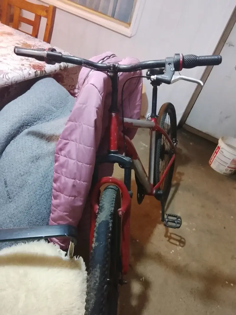 Bicicleta de montaña roja y blanca - 2