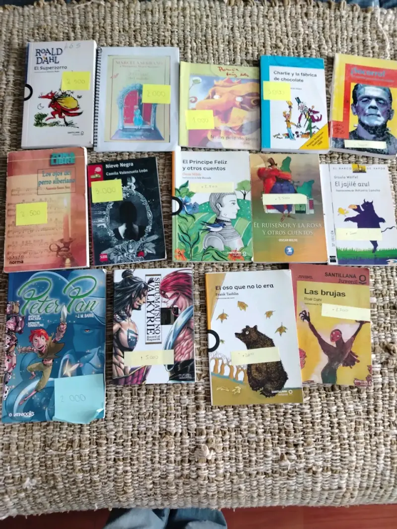 libros - 2