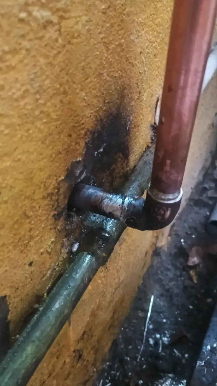Servicios de gasfitería profesional - 5