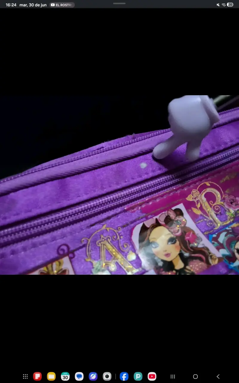 Estuche  Ever After High - 3