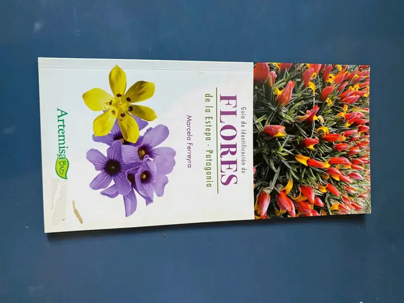 Guía de identificación de flores de la estepa Patagonia - 2