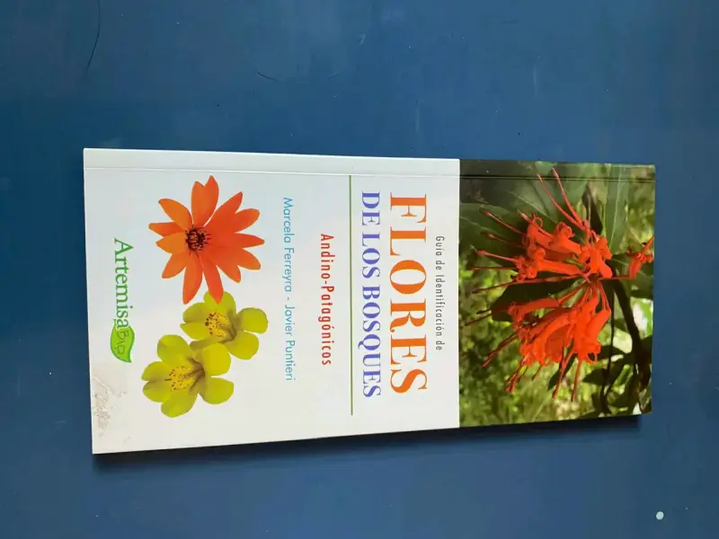 Guía de identificación de flores andino-patagónicas - 1