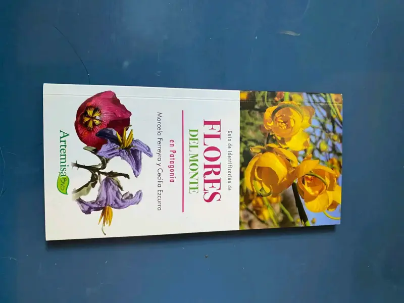 Guía de identificación de flores en Patag - 1
