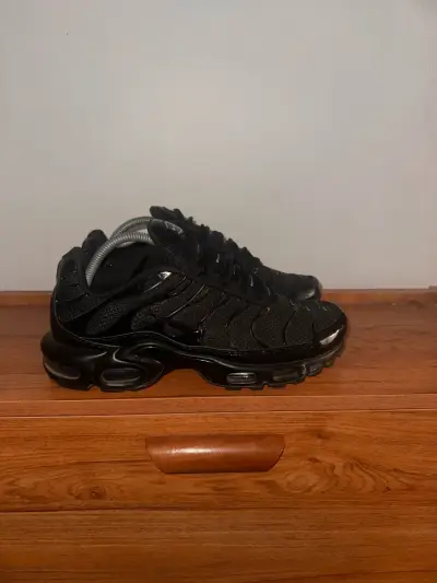 Zapatillas Air Max Plus Tn - miniatura 2