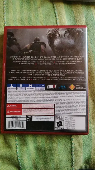 God of War PS4 PlayStation Hits - miniatura 2