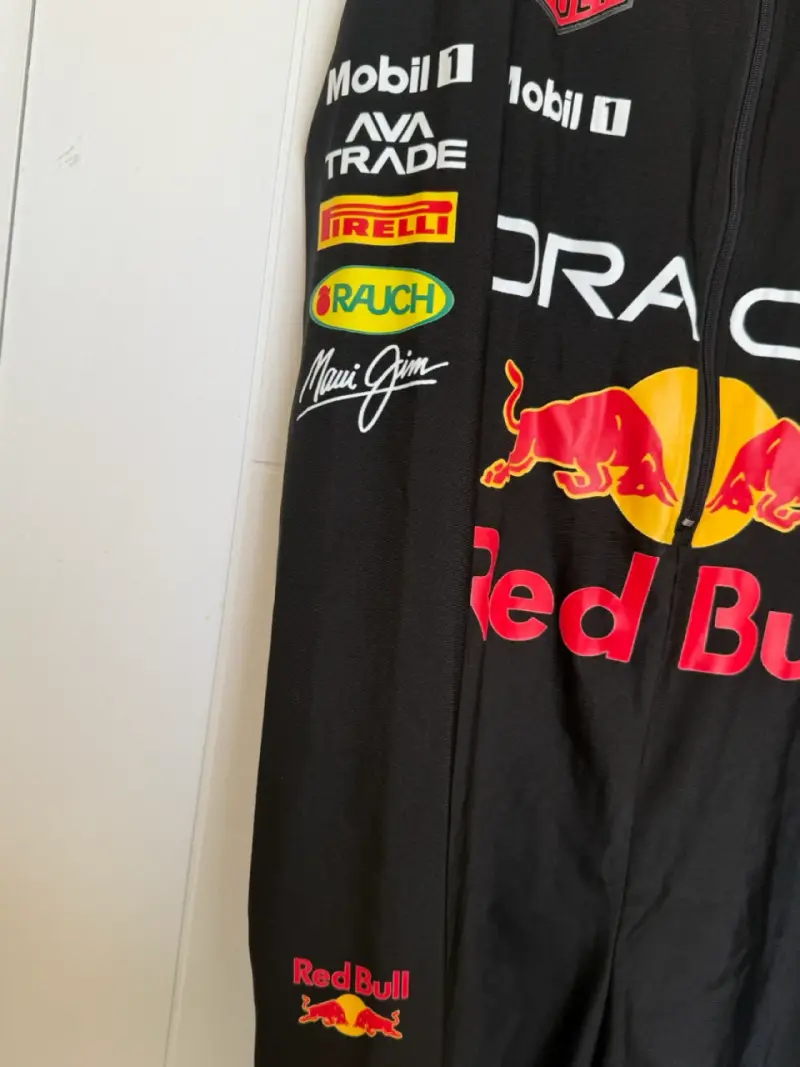 Red Bull Disfraz F1 - 2