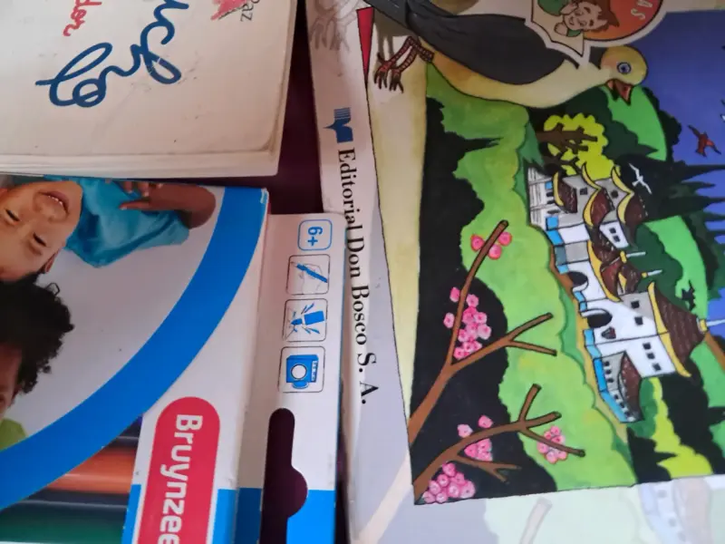 Lote de libros infantiles variados - 6