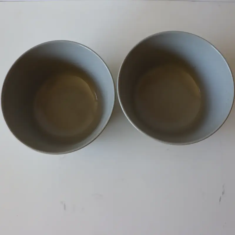 Set de dos bowls de cerámica gris - 2