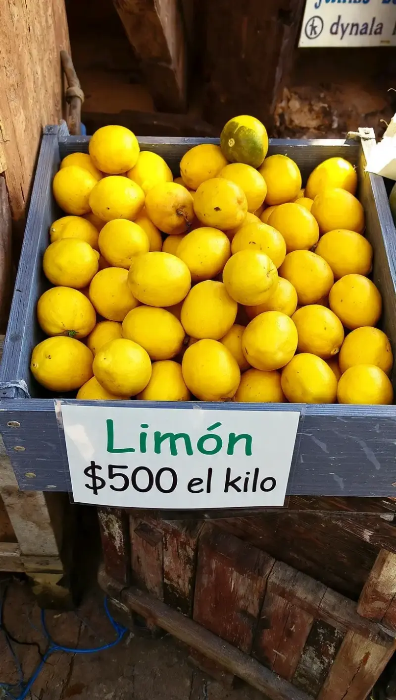Limones frescos por kilo