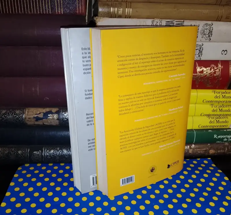 CIPER - El Periodismo Que Remece Chile 1 y 2 - 4