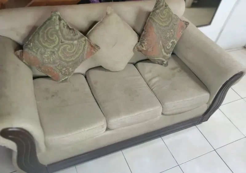 Juego sillones beige con detalles de madera - 2