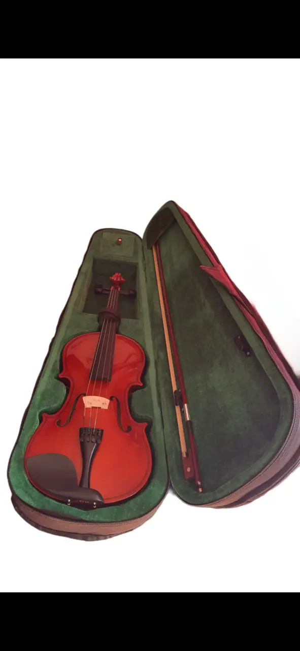 Violín clásico con estuche y arco
