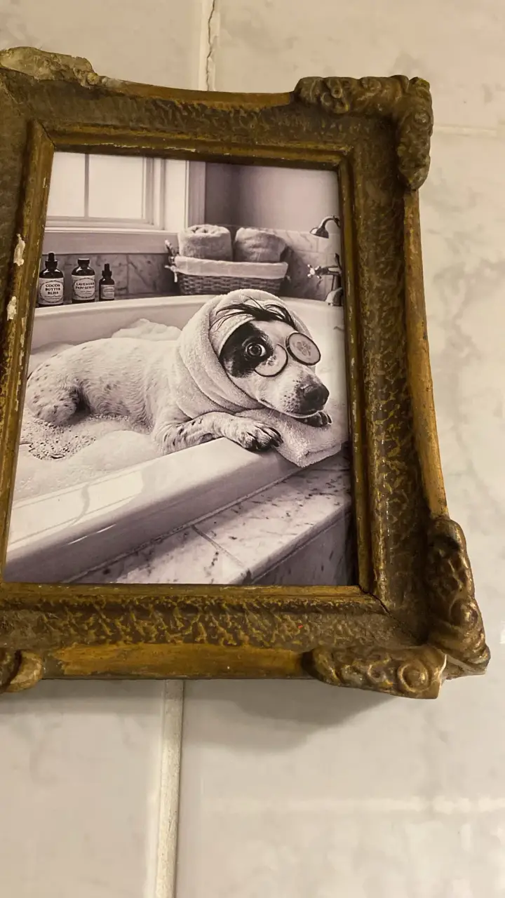 Cuadro personificado de tu mascota - 3